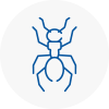 Ant Removals In Dereham