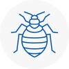Bed Bug Extermination In Dereham