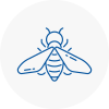 Bee Nest Removal Dereham
