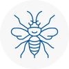 Dereham Hornet Nest Removals