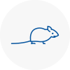 Mice Exterminators In Dereham