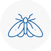 Moth Control Specialists In Dereham