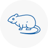 Rat Control Dereham