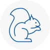 Dereham Rodent Removals