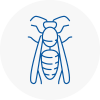 Dereham Wasp Nest Removal